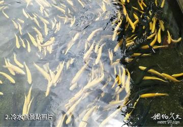 延邊和龍青龍漁業景區-冷水魚照片