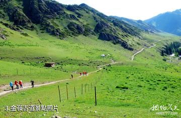 新疆車師古道國家森林公園-金嶺古道照片