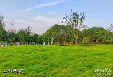 重庆巴南融汇西流沱滨江旅游区-绿野仙踪照片