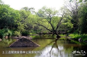 牡丹江三道關國家森林公園-三道關國家森林公園照片