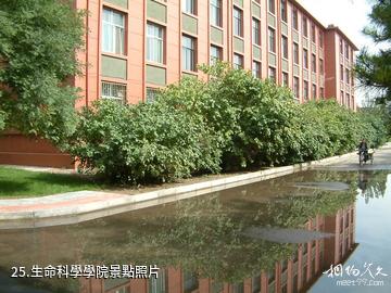 內蒙古大學-生命科學學院照片