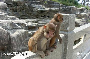 南京金牛湖景區-獼猴園照片