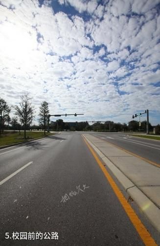 美国南佛罗里达大学-校园前的公路照片
