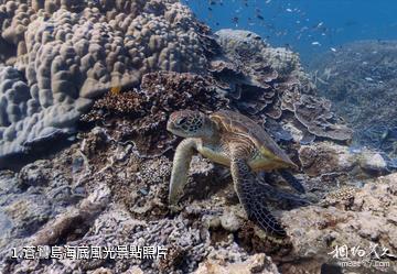 蒼鷺島海底風光照片