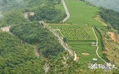 台州临海羊岩山旅游攻略之茶迷宫