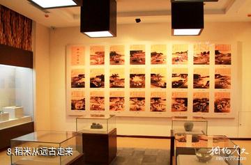 安徽中国稻米博物馆-稻米从远古走来照片