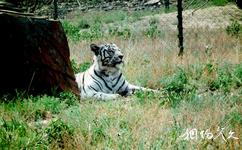 新疆天山野生動物園旅遊攻略之保護動物