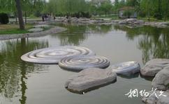 北京国际雕塑公园旅游攻略之湖泊