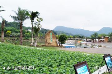 宜賓蜀南花海-水上畫廊照片