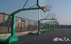 东北大学校园概况之篮球场