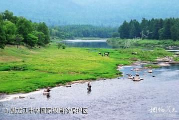 黑龙江丰林国家级自然保护区照片