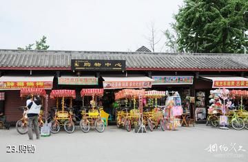 成都郫县三道堰古镇-购物照片