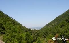 杭州大奇山国家森林公园旅游攻略之大奇山