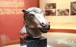 北京圆明园遗址公园旅游攻略之马首铜像
