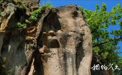吉林仙景台旅遊攻略之象鼻岩