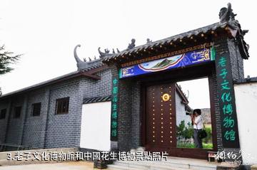 安丘老子文化園-老子文化博物館和中國花生博物照片