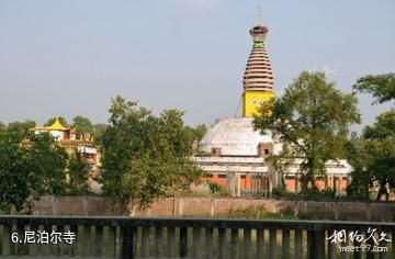 尼泊尔蓝毗尼园-尼泊尔寺照片