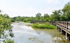 沛縣沛公園旅遊攻略之濕地保護區