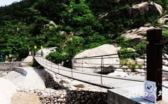 青岛二龙山生态旅游攻略之铁索桥