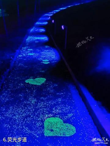隆阳青东公园-荧光步道照片