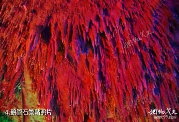 安化龍泉洞風景區-鵝管石照片