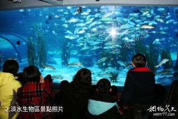 杭州海底世界-淡水生物區照片