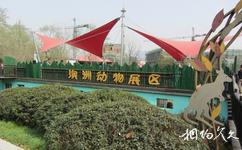 南京紅山森林動物園旅遊攻略之澳洲動物展區