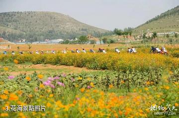 沂南朱家林旅遊區-花海照片