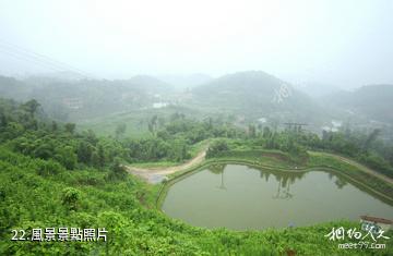 重慶巴岳山―西溫泉風景區-風景照片