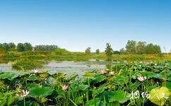 铜陵西湖湿地旅游攻略之生态保育区