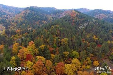 呂梁蒼兒會旅遊景區-森林照片