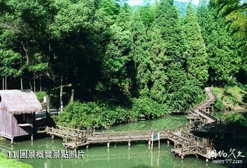 杭州東明山森林公園-園景概覽照片