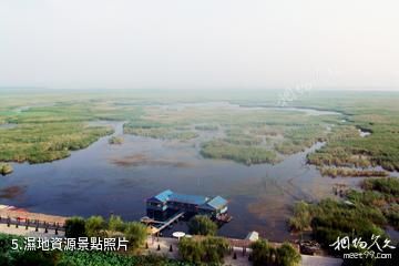 河南黃河濕地國家級自然保護區-濕地資源照片