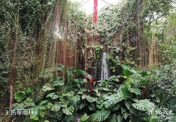 宁波天宫庄园休闲旅游区-热带雨林照片