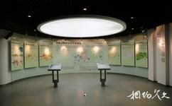 邹城市规划展览馆旅游攻略之展厅