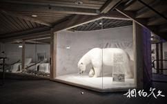 挪威霍爾門考倫滑雪跳台旅遊攻略之北極熊