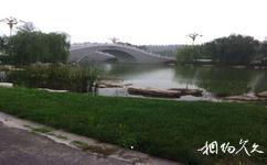 濟寧市墳上蓮花湖濕地旅遊攻略之鵲橋