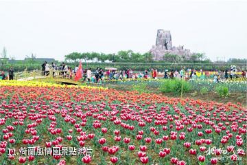 臨沂蘭陵國家農業公園-荷蘭風情園照片