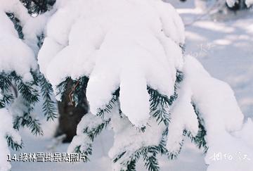 平山駝梁山風景區-綠林雪掛照片