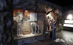 湖北十堰博物馆旅游攻略之远古人类家园