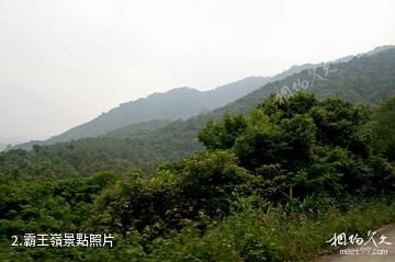 海南霸王嶺國家森林公園-霸王嶺照片