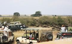 肯亞馬賽馬拉國家保護區旅遊攻略之遊覽方式