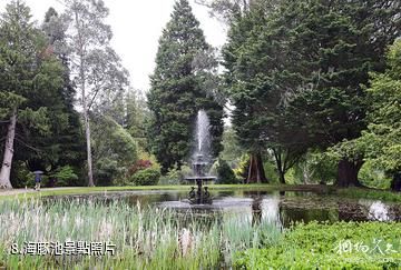 愛爾蘭寶爾勢格莊園-海豚池照片