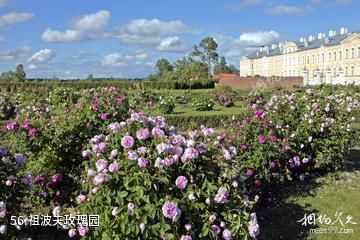 拉脱维亚隆黛尔宫-祖波夫玫瑰园照片