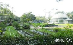 台北植物園旅遊攻略之溫室