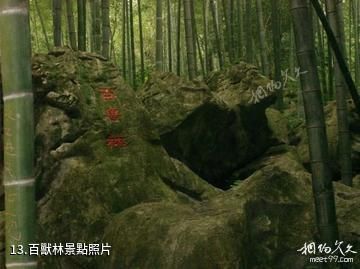 赤壁玄素洞-百獸林照片