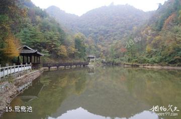 广元曾家山景区-鸳鸯池照片