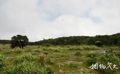 广西大明山国家级自然保护区旅游攻略之天书草坪