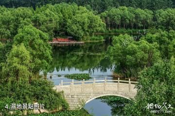 營丘白浪沙灘濕地公園-濕地照片