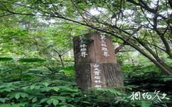 台湾溪头森林公园（溪头自然教育园区）旅游攻略之实验林班界